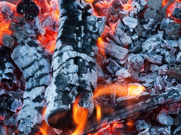 Twee goede redenen om op Quebracho houtskool te barbecueën